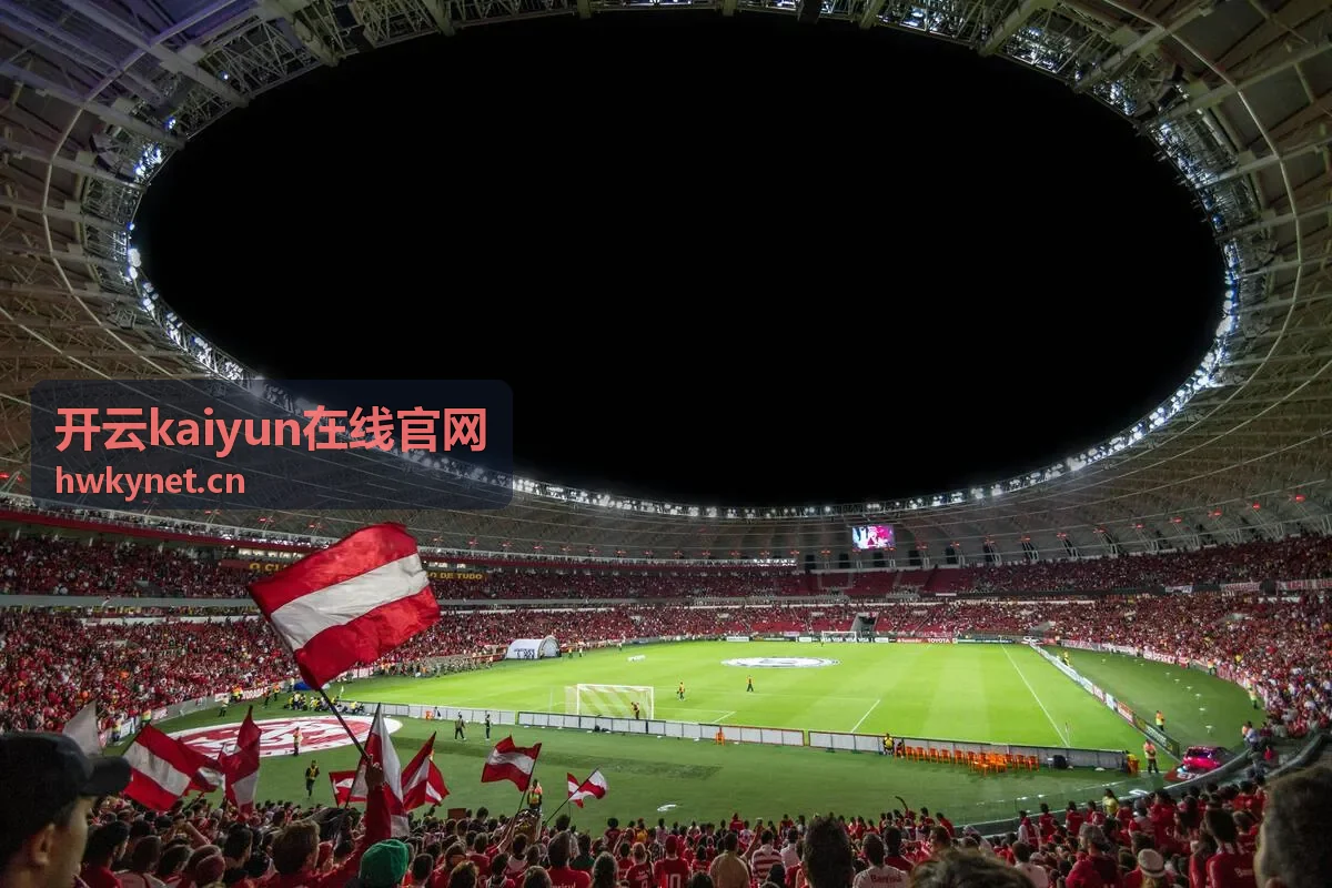 开云kaiyun在线官网个人资料与偏好设置示意